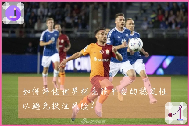 如何评估世界杯竞猜平台的稳定性以避免投注风险？