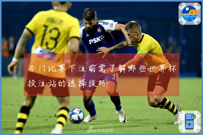 冷门比赛下注前需了解哪些世界杯投注站的选择技巧