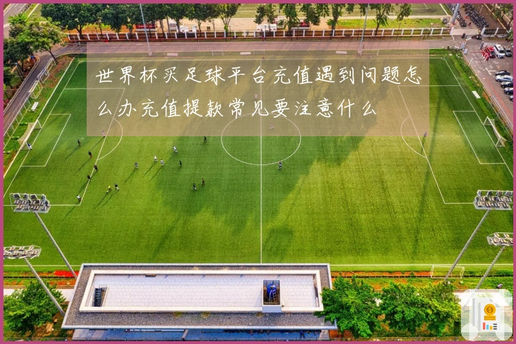 世界杯买足球平台充值遇到问题怎么办充值提款常见要注意什么