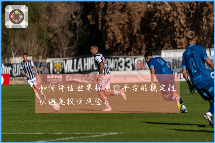如何评估世界杯竞猜平台的稳定性以避免投注风险？
