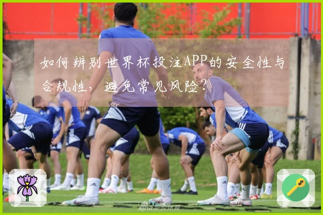 如何辨别世界杯投注APP的安全性与合规性，避免常见风险？